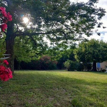 Le Petit Mas Des Alpilles En Provence Villa Saint-Étienne-du-Grès Bagian luar foto