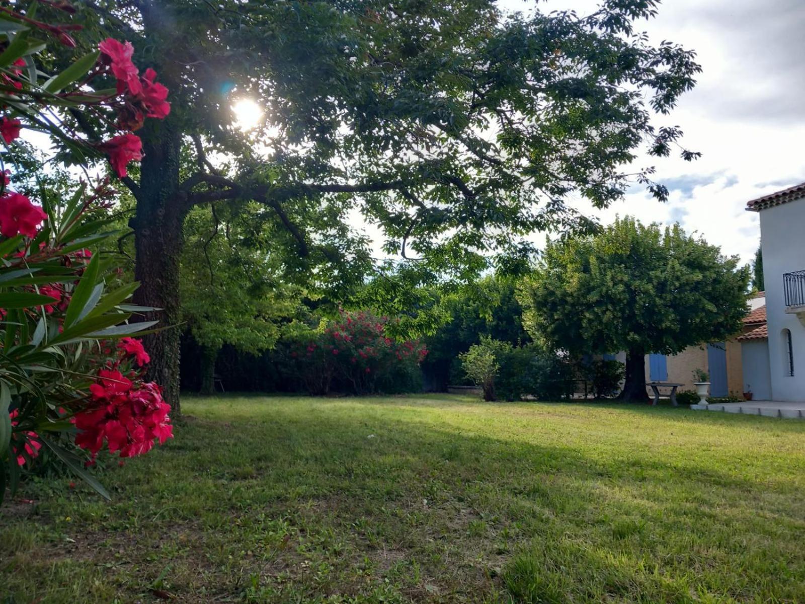 Le Petit Mas Des Alpilles En Provence Villa Saint-Étienne-du-Grès Bagian luar foto
